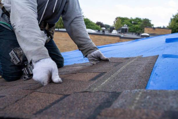 Best Commercial Roof Installation  in Williams, OR