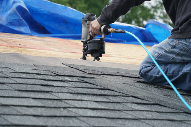Best Roof Gutter Cleaning  in Williams, OR