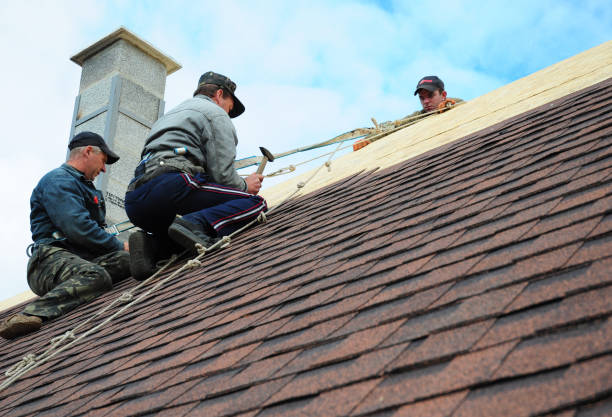 Quick and Trustworthy Emergency Roof Repair Services in Williams, OR